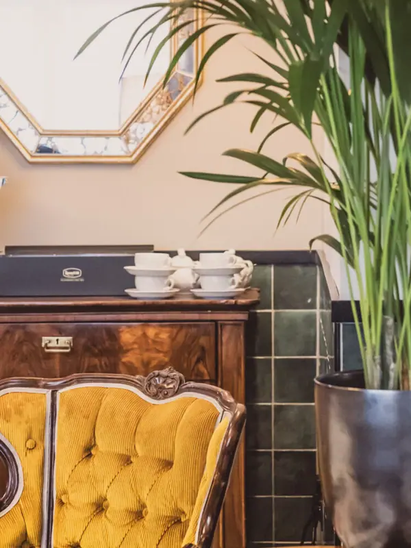 Ein Zimmer mit einem Spiegel und einer Topfpflanze.